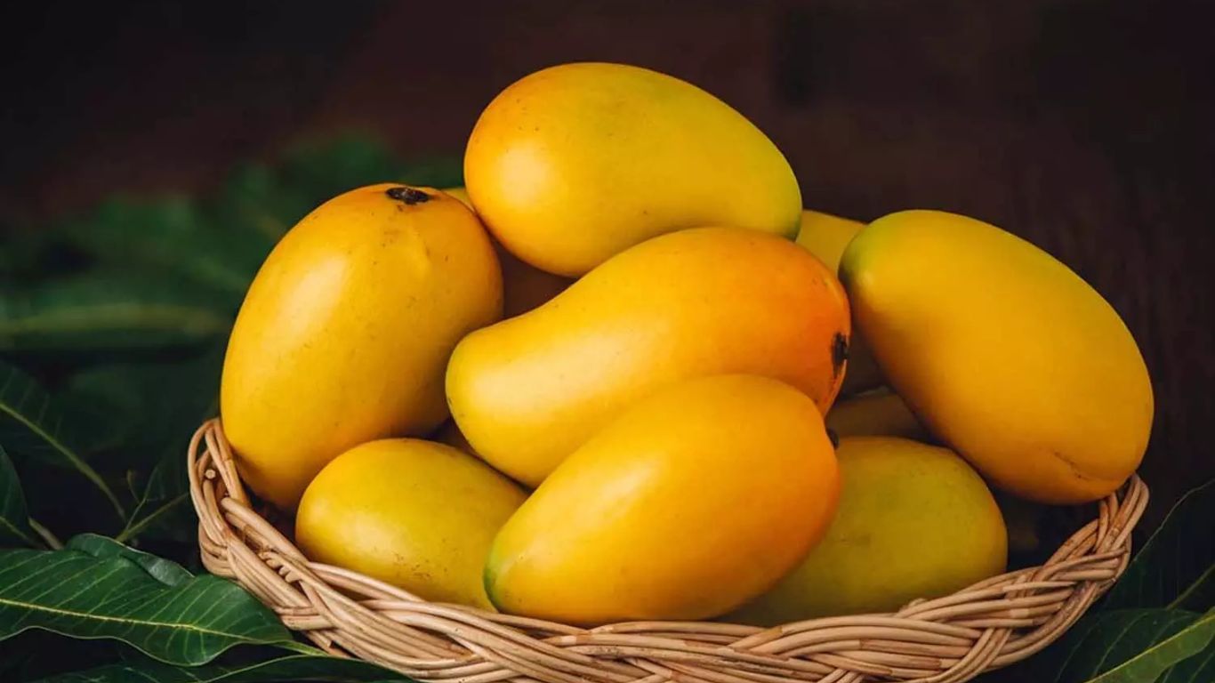 Mango