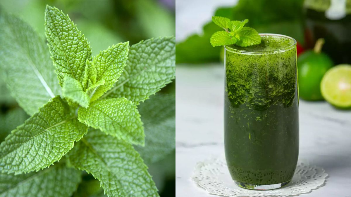 Mint Juice