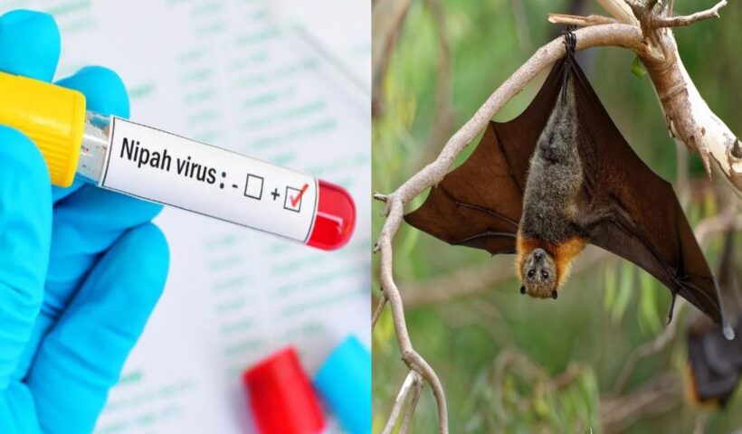 Nipah Virus Alert in Kerala
