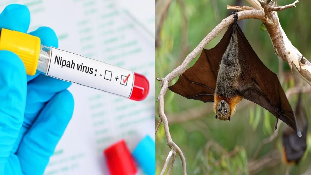 Nipah Virus Alert in Kerala