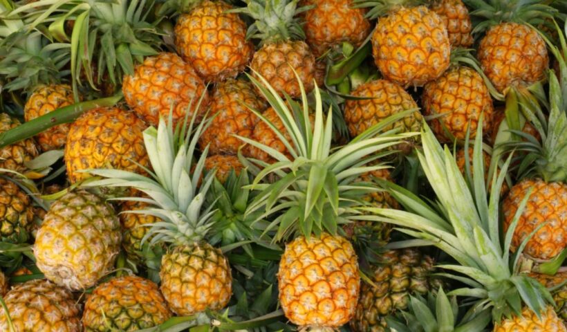Pineapple Benefits