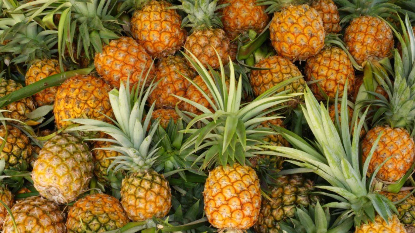 Pineapple Benefits