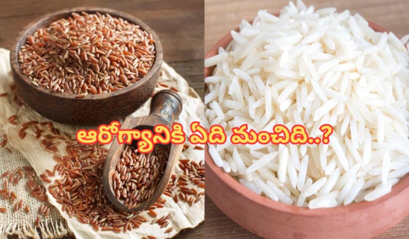 Red Rice Vs White Rice: