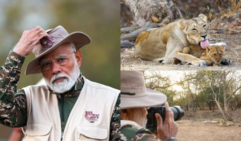 LIon Enumeration