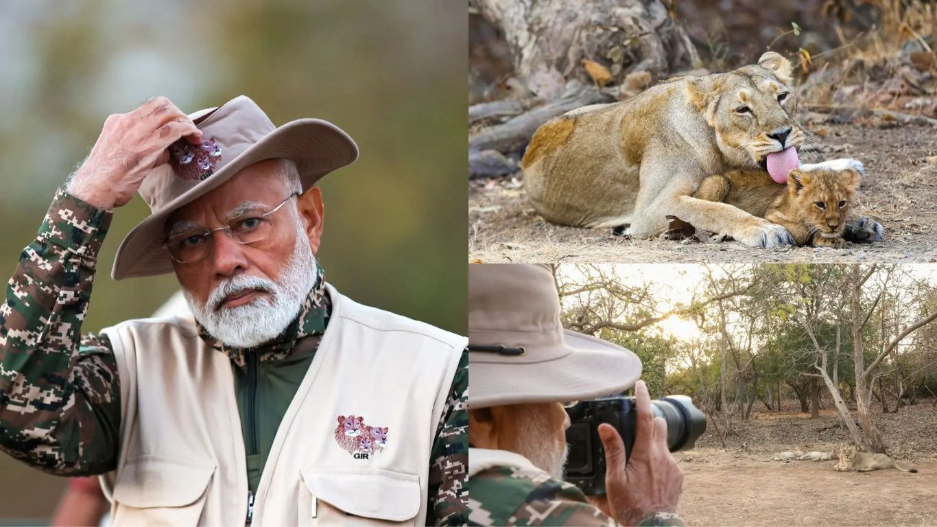 LIon Enumeration