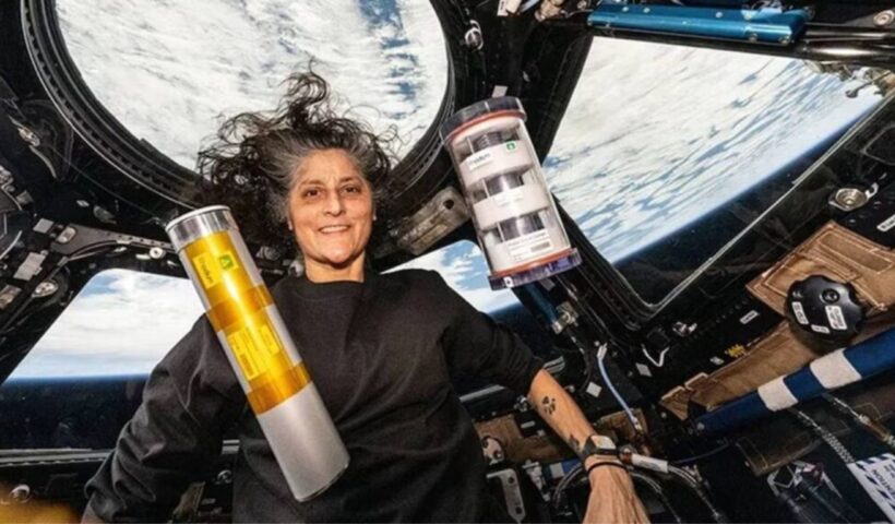 Sunita Williams