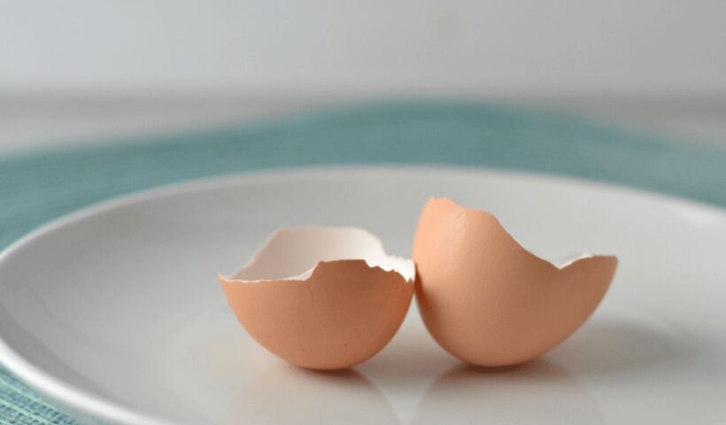 Egg Shells