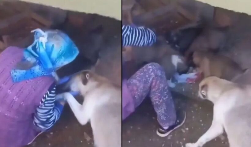 Viral Video