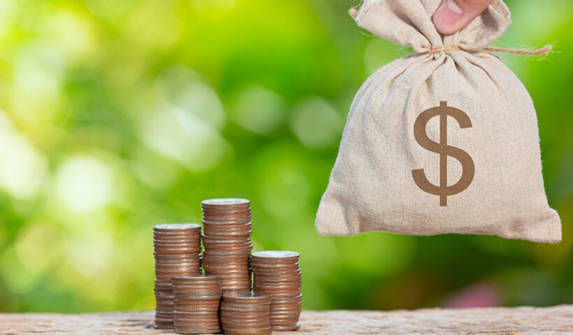 Women Borrowers