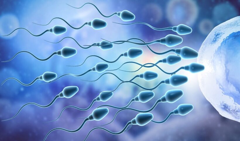 sperm count