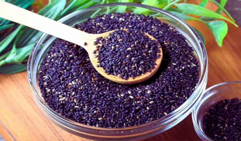 Black Sesame