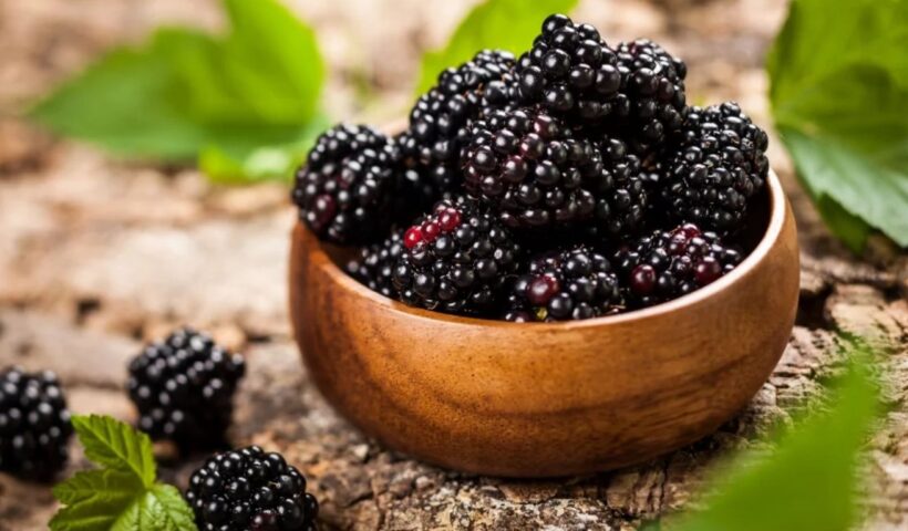 Blackberries
