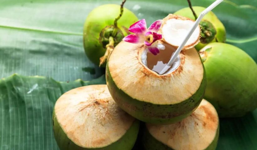 Coconut Benefits
