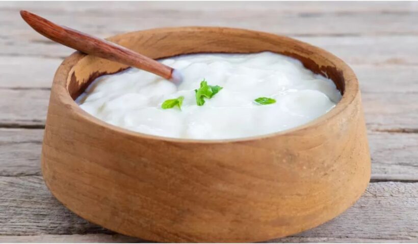 Curd Benefits