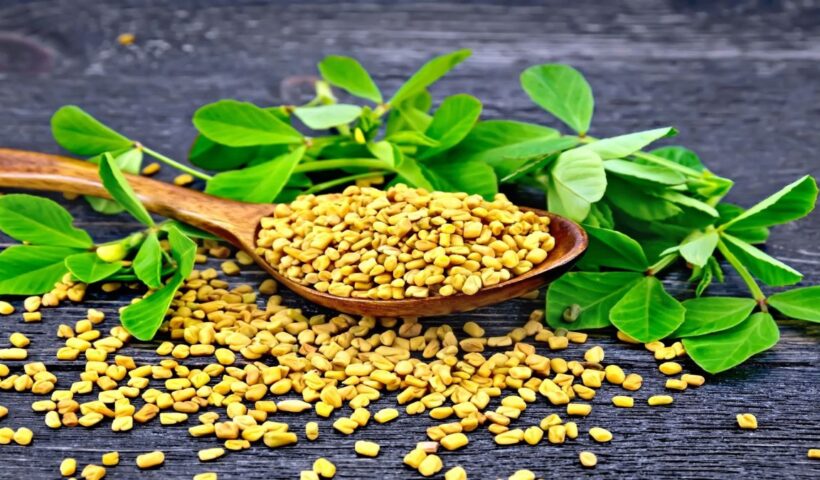 Fenugreek Seeds
