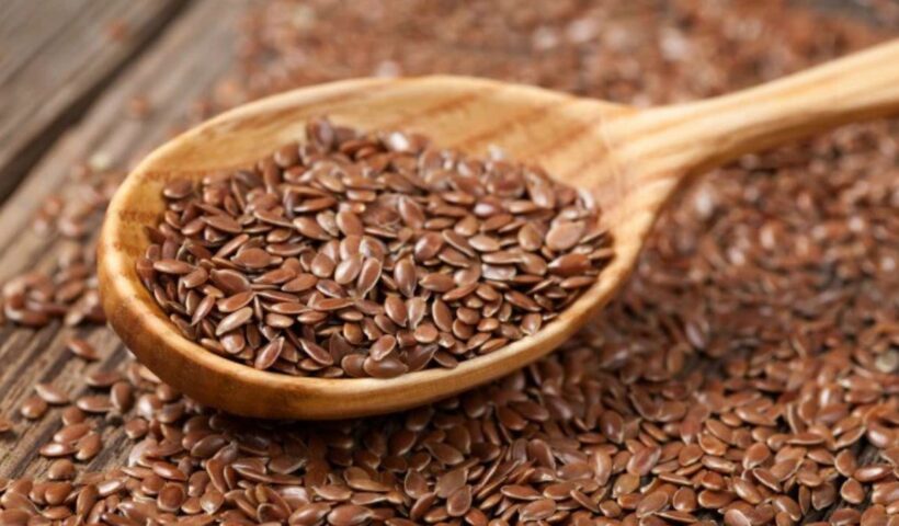 Flax Seeds Benefits