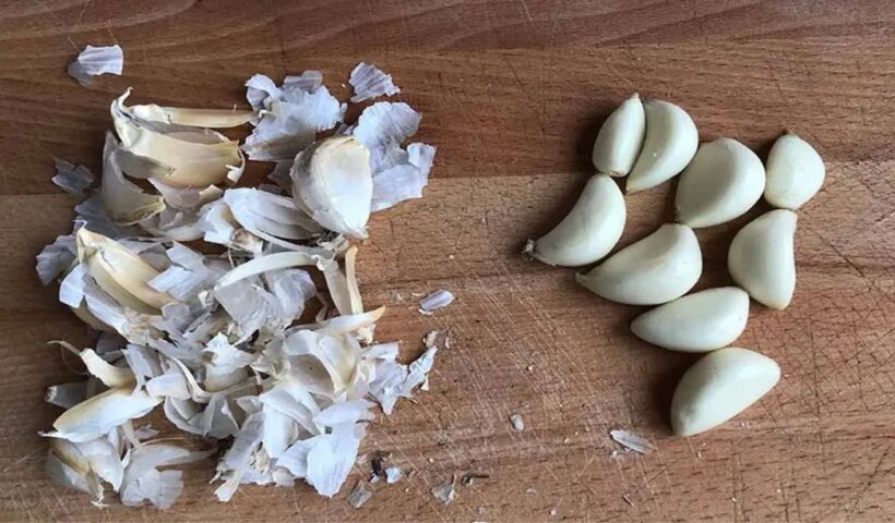 Garlic Peel