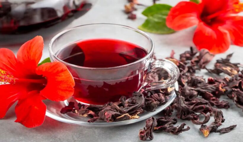 Hibiscus Flower