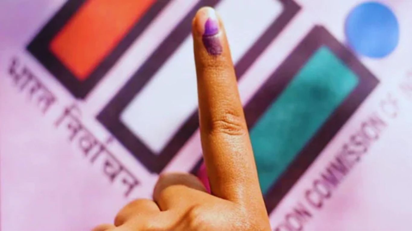 MLC Elections