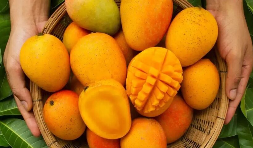 Mango Benefits