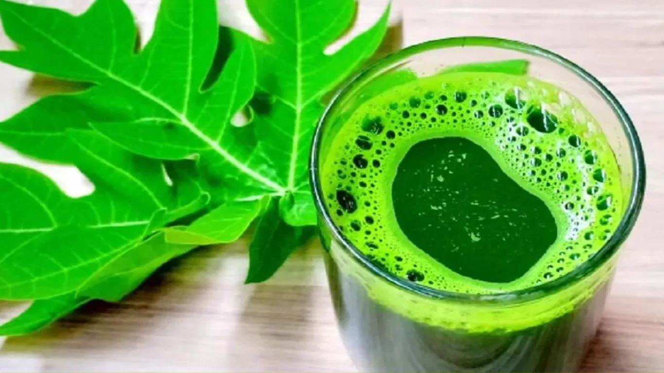 Papaya Leaf Juice