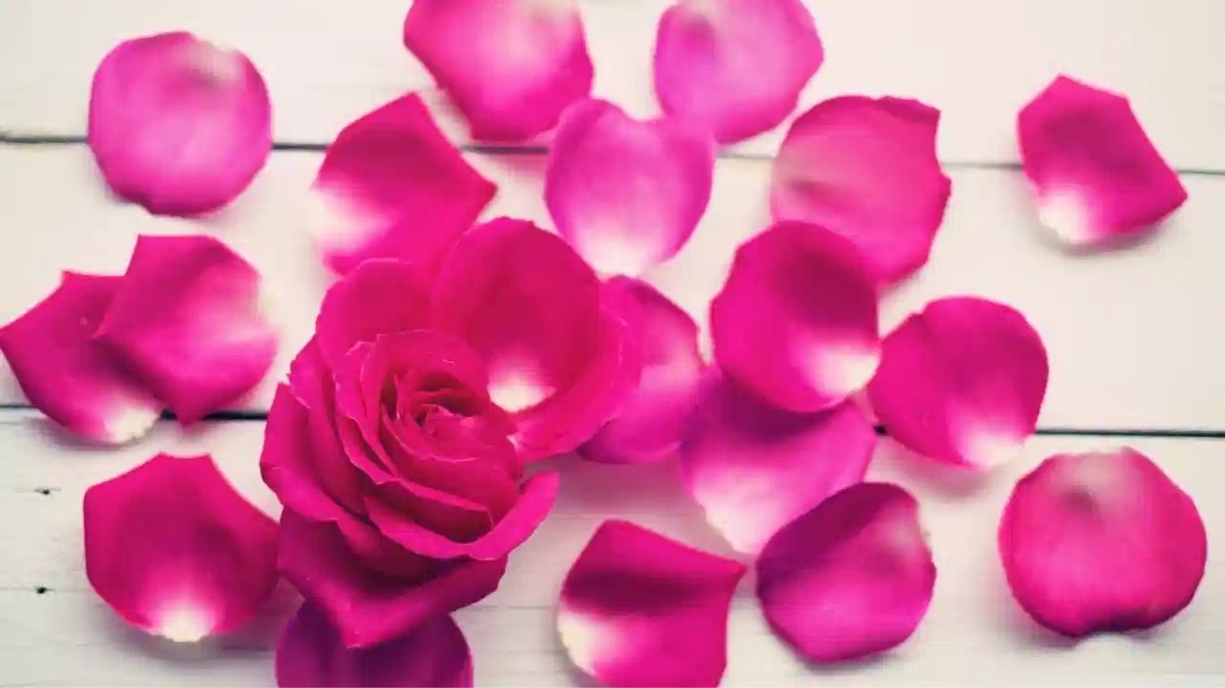 Roses