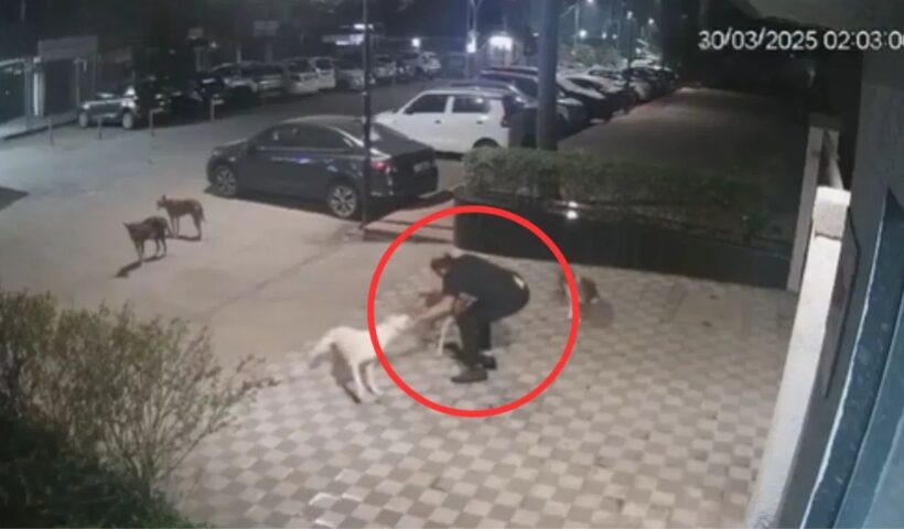 Viral News