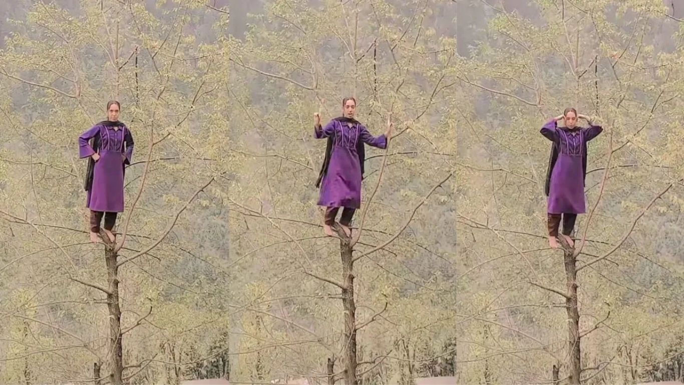Viral News