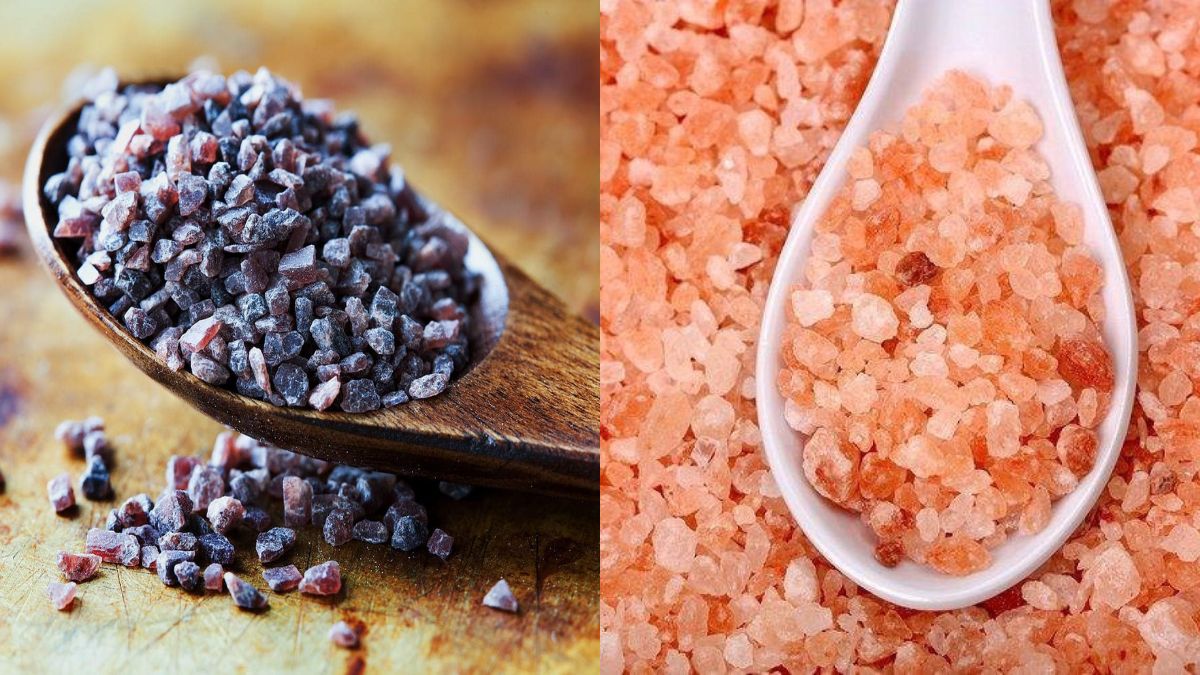 Black Salt vs Rock Salt