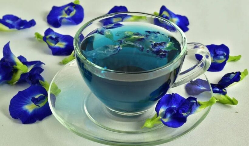 Blue Tea