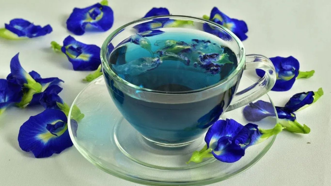 Blue Tea