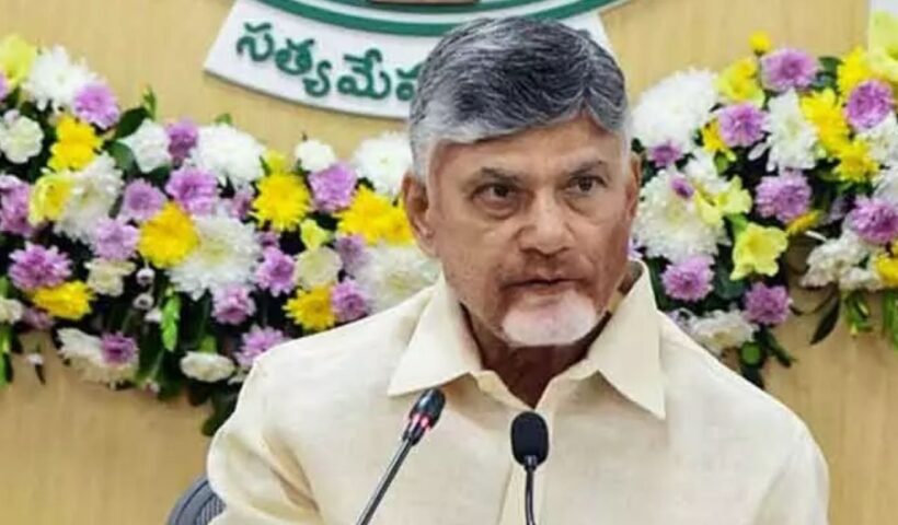 Chandrababu Schedule