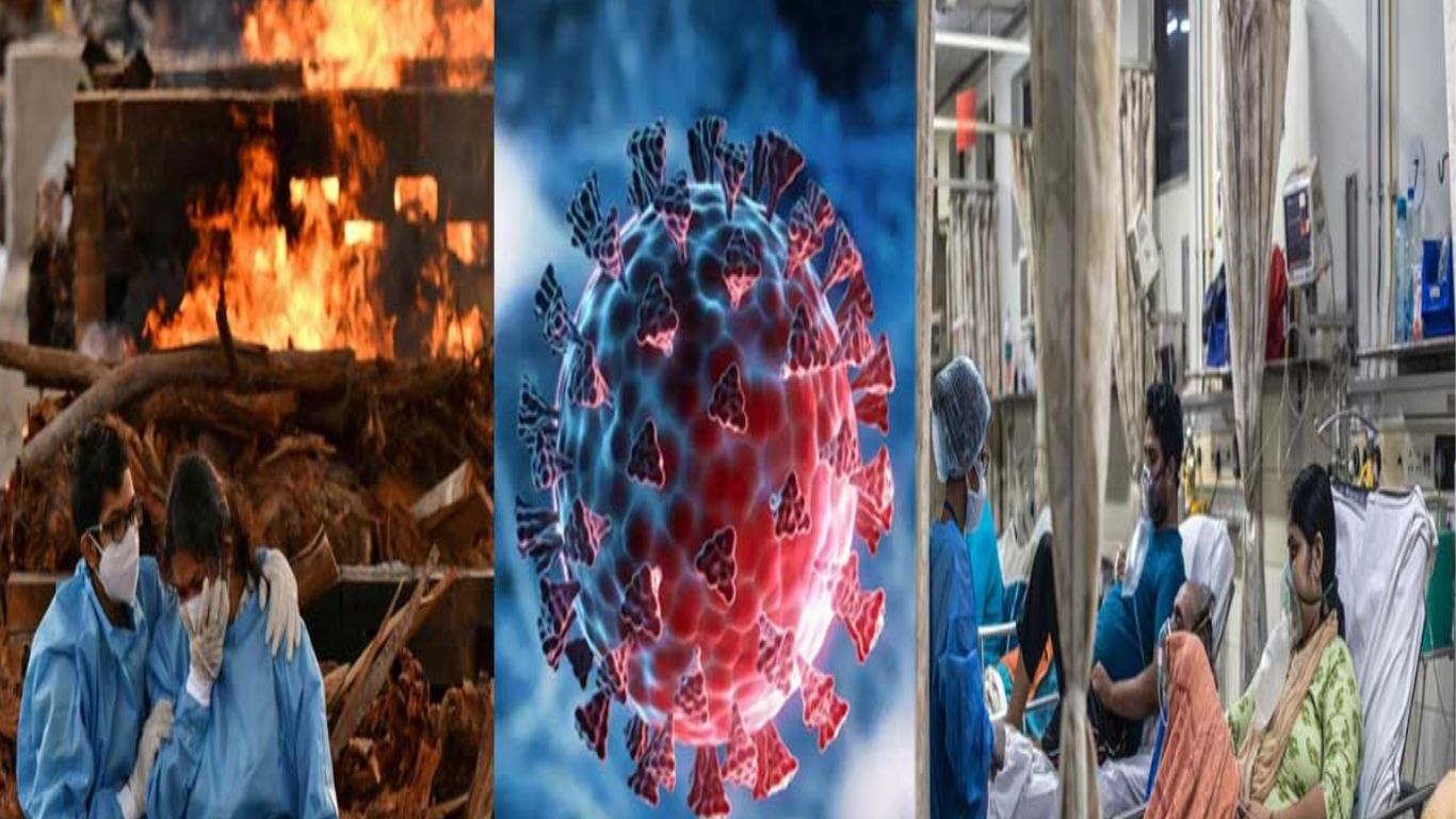 Corona Virus
