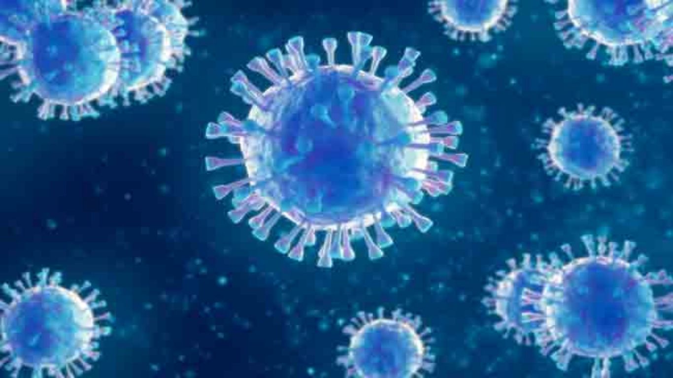 Corona Virus
