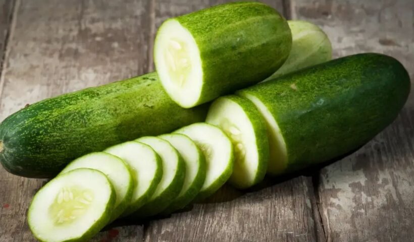 Cucumber