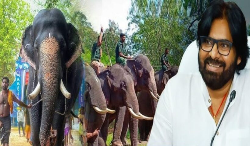 Deputy CM Pawan Kalyan