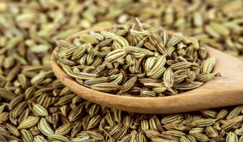 Fennel Seeds For Kidney