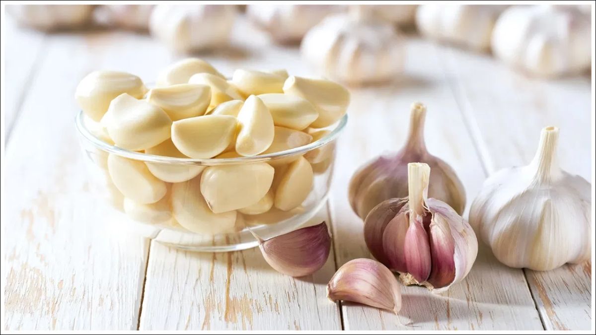 Garlic Benefits