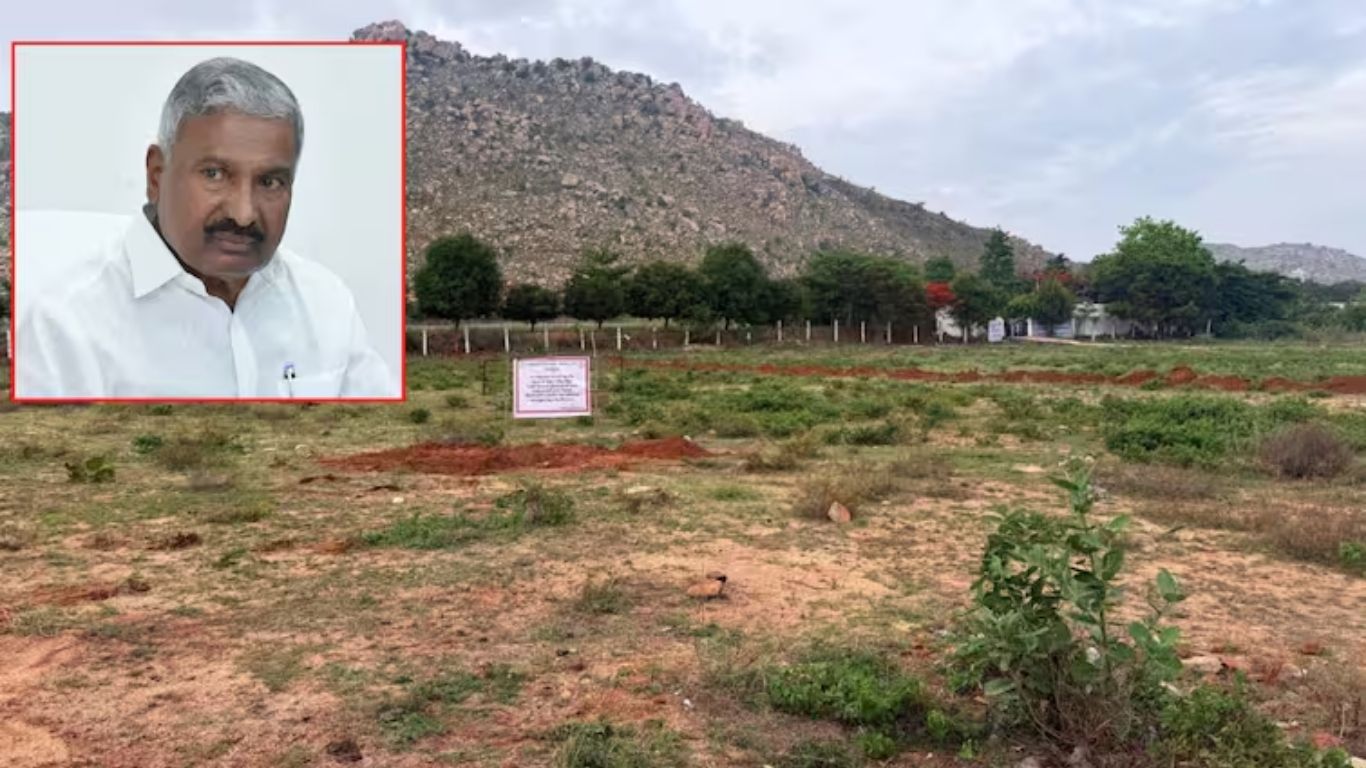 Government Land Encroached