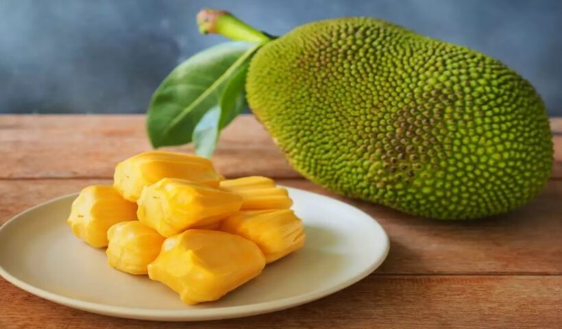 Jackfruit