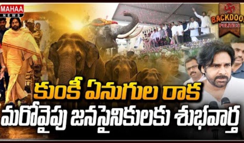 Kumki Elephants Entry