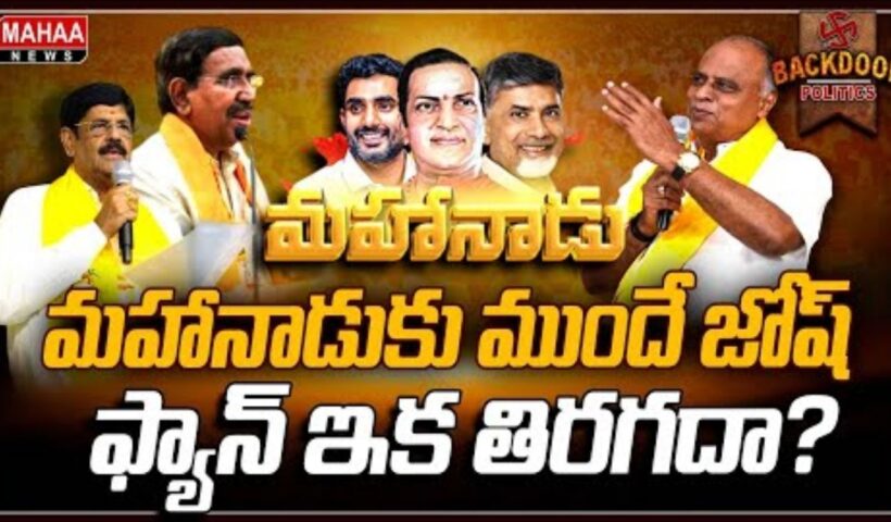 Nellore Mahanadu
