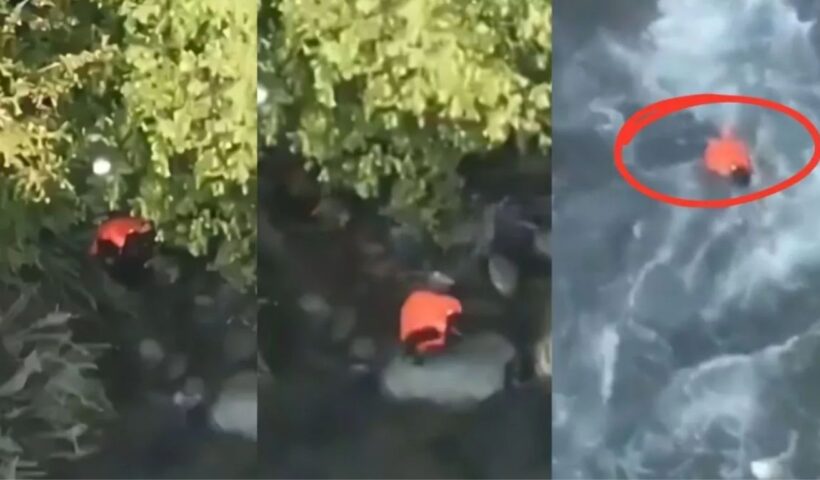 Pahalgam Terror Attack