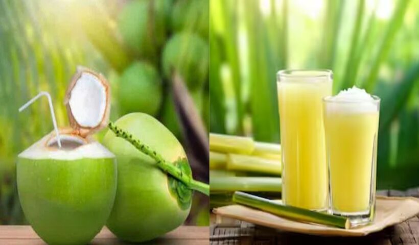 Sugarcane vs Coconut Water