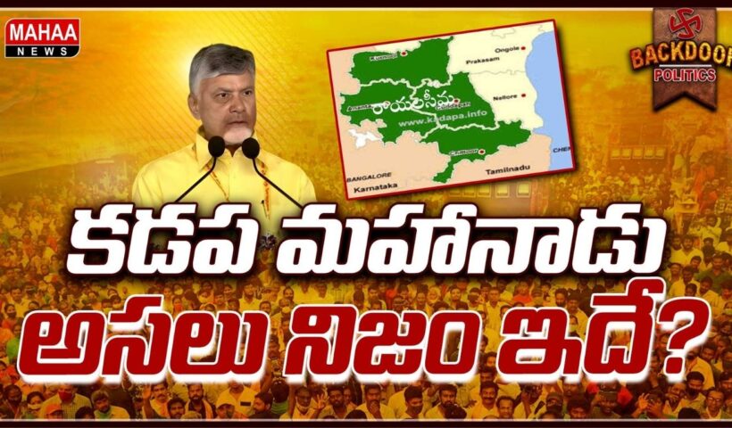 TDP Mahanadu Success