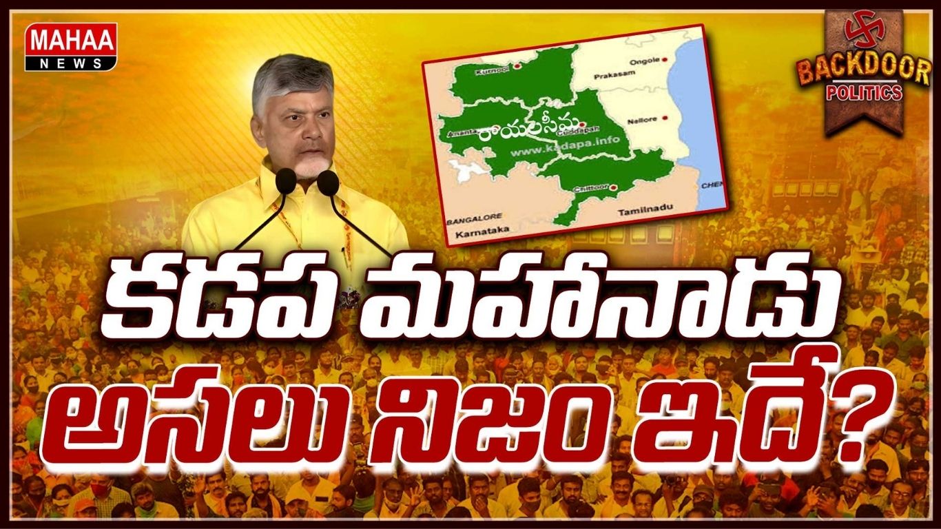 TDP Mahanadu Success