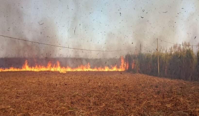 Warangal