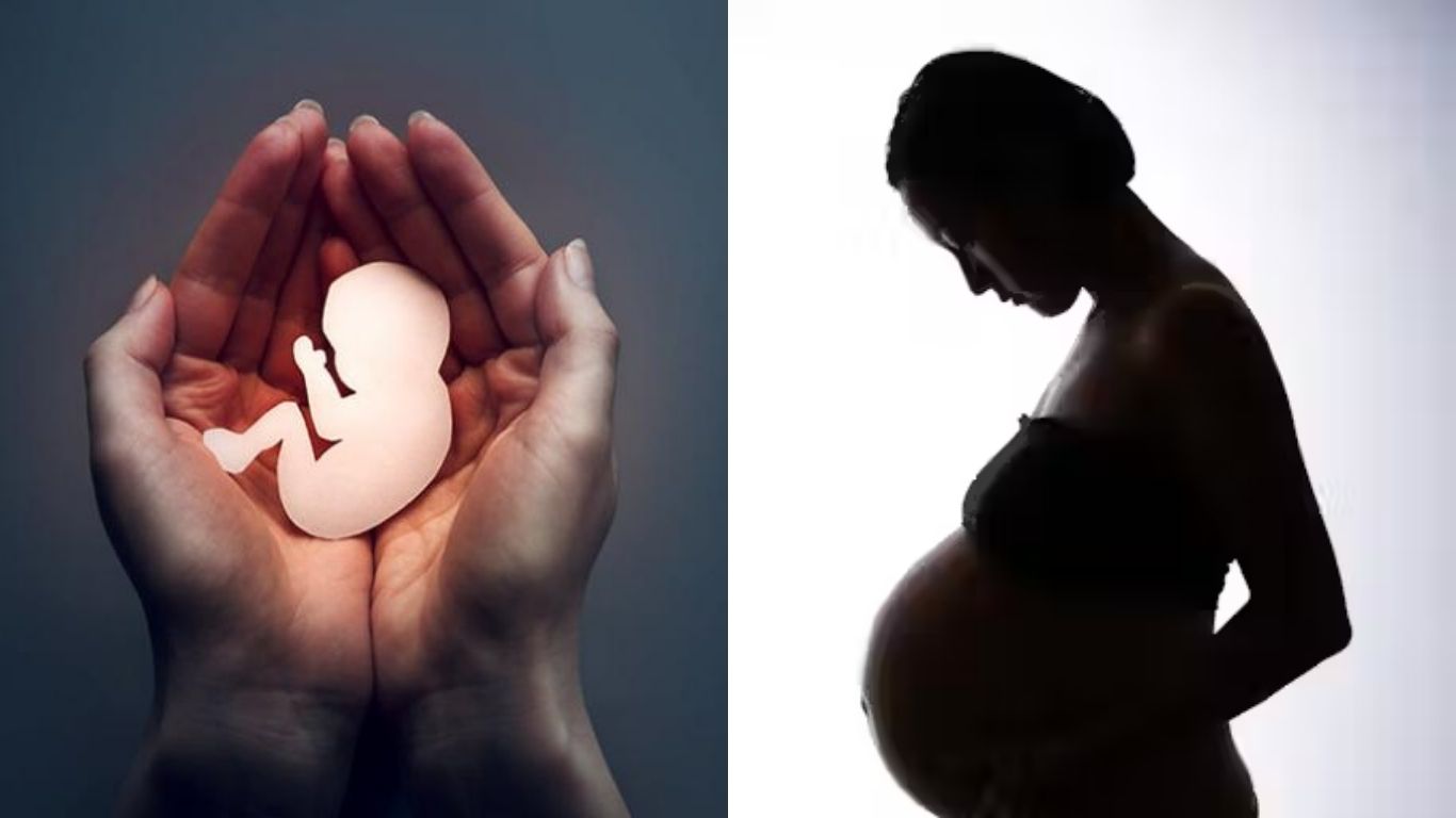 Abortion Cases