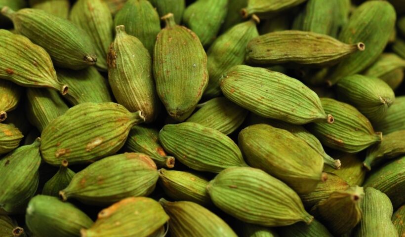 Cardamom Benefits