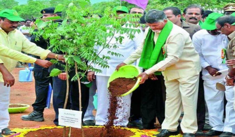 CM Chandrababu